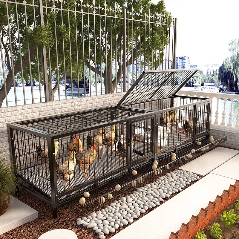 户外鸡笼芦丁鸡饲养箱捕鸽神器鸽子笼小鸡鸭子专用室外自动收集蛋,畜牧/养殖物资,养殖笼具/鸡笼/兔笼/鸽笼,淘宝优惠券,粉丝福利购,淘宝优惠卷