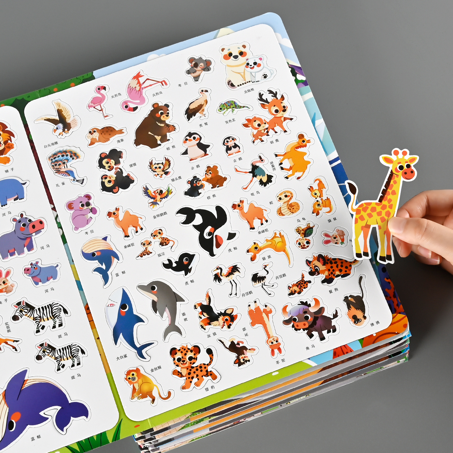 儿童动物磁力贴纸书2-3到6岁