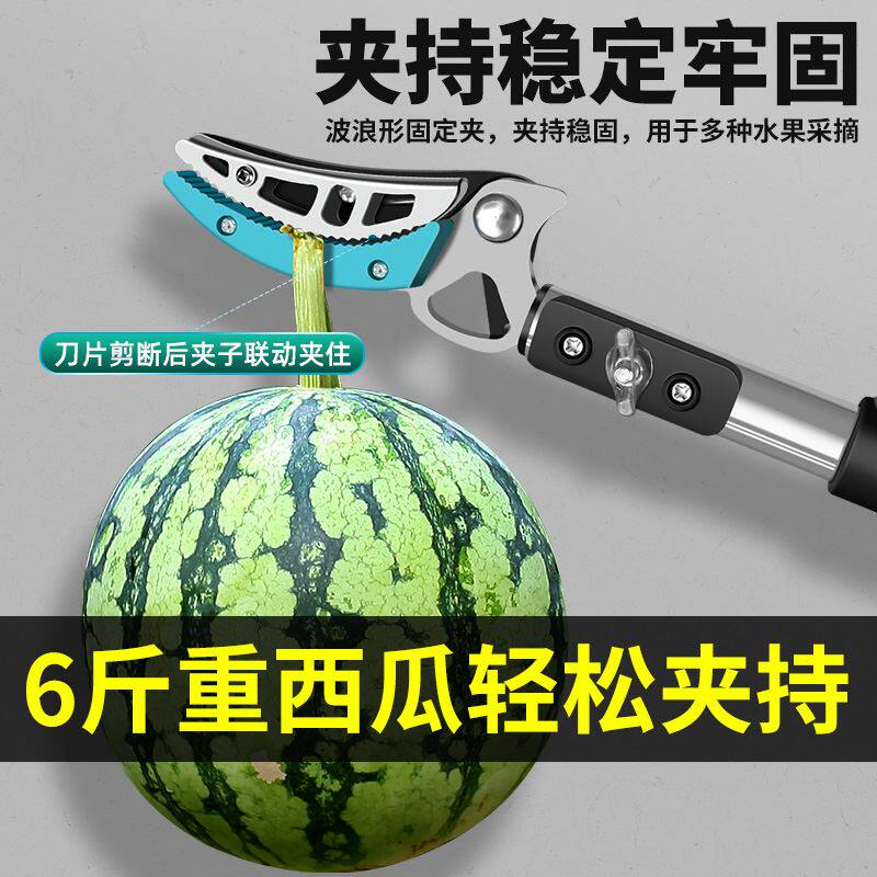 新品田匠摘水果荔枝龙眼枇杷杨梅加长果树采摘果子神Y器高枝剪伸