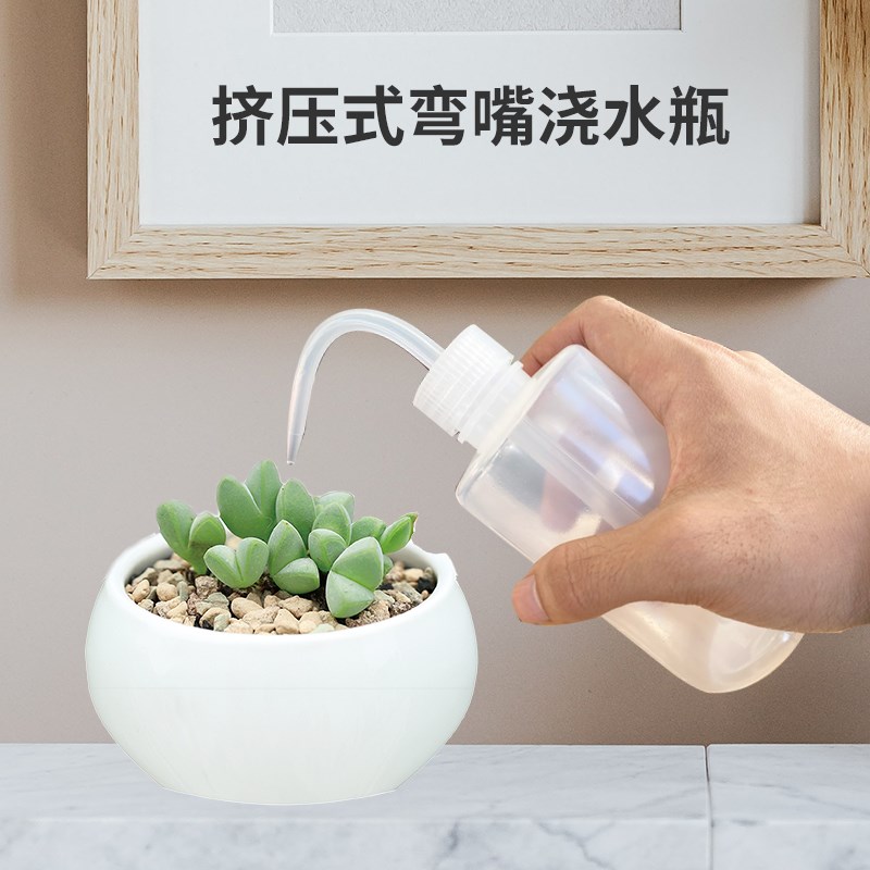 多肉浇水壶弯g嘴壶尖嘴壶浇花神器家用养花肉肉挤压式长嘴小型喷