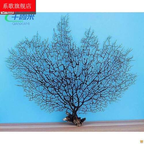 新品包邮天然海底铁n树珊瑚海树海柳标本水族鱼缸造景装饰橱窗设