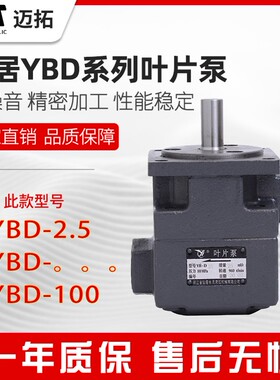 极速YBD-100仙居永灵叶片泵YqBD-2.5/4/6/10/16/20/25/32/63/80/1
