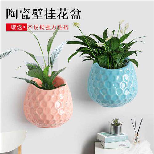 极速壁挂水培花瓶挂墙免打孔创意B插花挂墙绿植花盆陶瓷干燥花花
