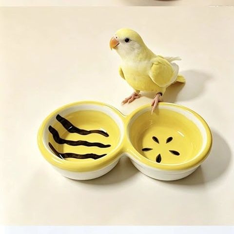 宠物专用陶瓷食盆仓鼠鹦鹉蜜袋鼯寄居蟹刺猬可爱粮食澡盆