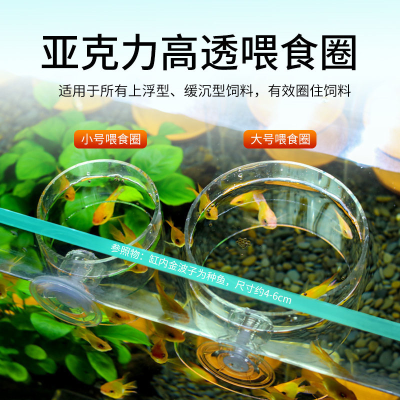 金波子鱼苗丰年虾鱼缸漂浮喂食圈亚克力喂鱼器吸盘投喂鱼粮防飘散