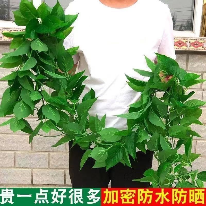 卫生间楼梯扶手仿真绿萝叶缠绕吊顶电线管道墙面遮丑装饰品