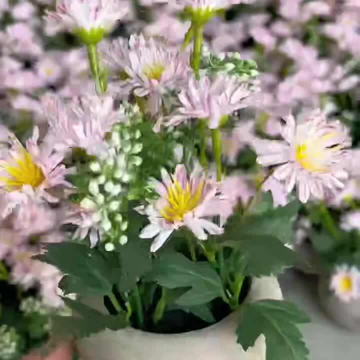洋甘菊小雏菊仿真假花高级盆栽居家客厅户外小清新装饰摆件