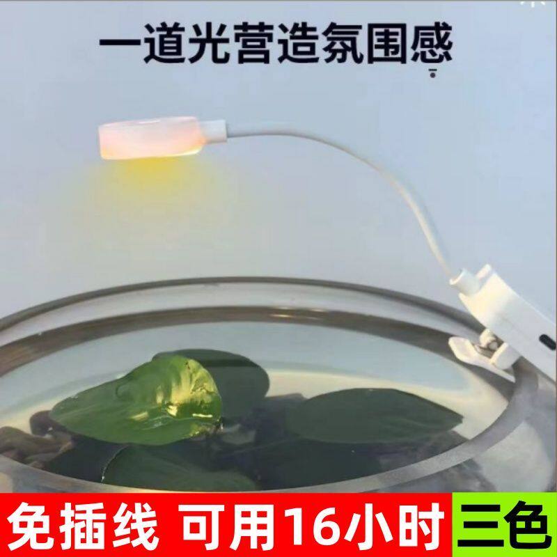 水族小型无线充电鱼缸夹子灯水草补光照明缸内灯具