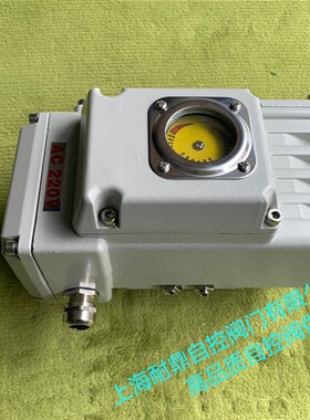 电动执行器 DLS-40 20v 10 60 100 200  DLS-05