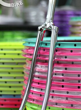 @BIKE FIXjED GEAR 台玩PROUD CAT 复古电渡LUG 前叉