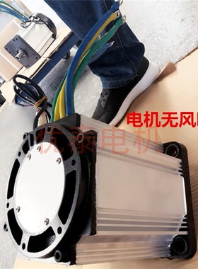 4000w5000w6000w7000w电机开关E磁阻电机大功率电动四轮电机60v72