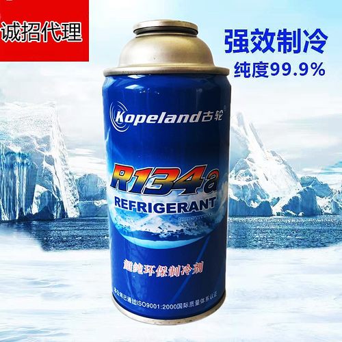 R134a制冷剂R600a冰箱冰柜氟利昂雪种汽车空调冷媒加氟工具套装