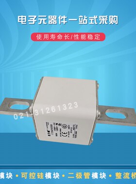 巴斯曼熔断器170M5699 5700 5708 5709 5710 5711 5712 5713 5714