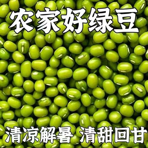 特价中】薄皮绿豆东北新绿豆夏季绿豆粥绿豆芽新绿豆绿豆广金钱草