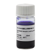 含票价 Biovsharp试剂SDS PAGE蛋白上样缓冲液 免邮 BL502B