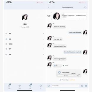 Themepro『心情日记』5色 ins风简约定制v微信主题 赠同色白肚皮
