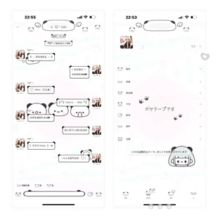 空投【小熊猫】ThemePro主题 送键盘 ios定制v主题 卷码发货