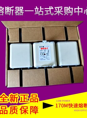 BUSSMANN巴斯曼170M6596 17A0M6646    170M序列熔断器保险丝