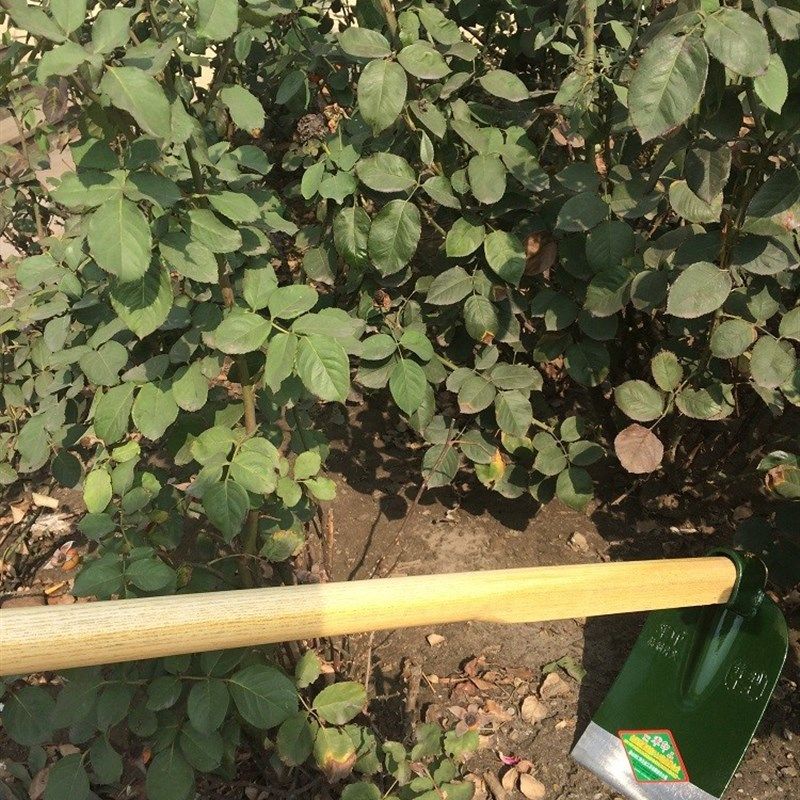 极速。农用锄头农具锻打长柄种菜除草挖地M弹簧钢开垦翻地园艺两,机械设备,矿山专用设备,淘宝优惠券,粉丝福利购,淘宝优惠卷