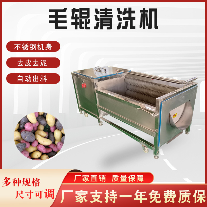 全自动甘荀毛刷清洗机 304不锈钢芋籽毛刷清洗机厂家供应