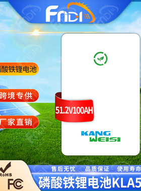 48V壁挂式太阳能磷酸铁锂电池LiFePO4家用光伏储能电池51.2V100AH