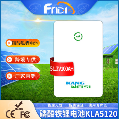 48V壁挂式太阳能磷酸铁锂电池LiFePO4家用光伏储能电池51.2V100AH