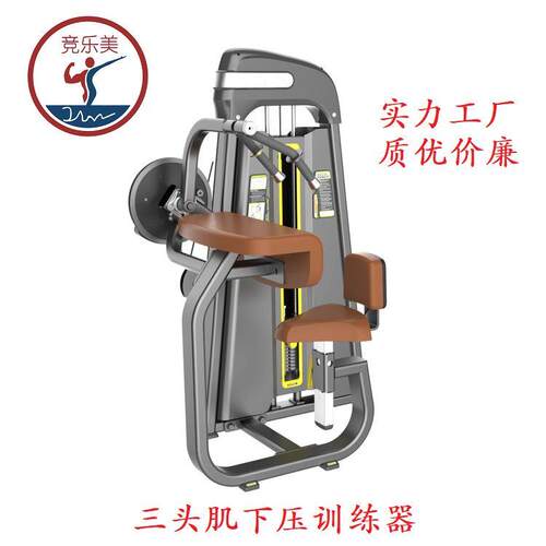 健身房器材三头肌训练器下压 商用零度三头屈伸机 力量型综合训练