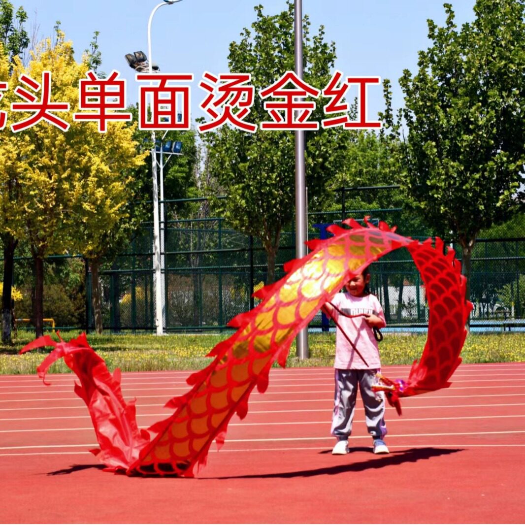 儿童龙头甩龙广场初学健身彩带龙