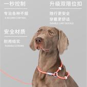狗狗牵引绳p绳小型犬狗绳绳中型犬项圈p链训狗专用幼犬训练绳赛级
