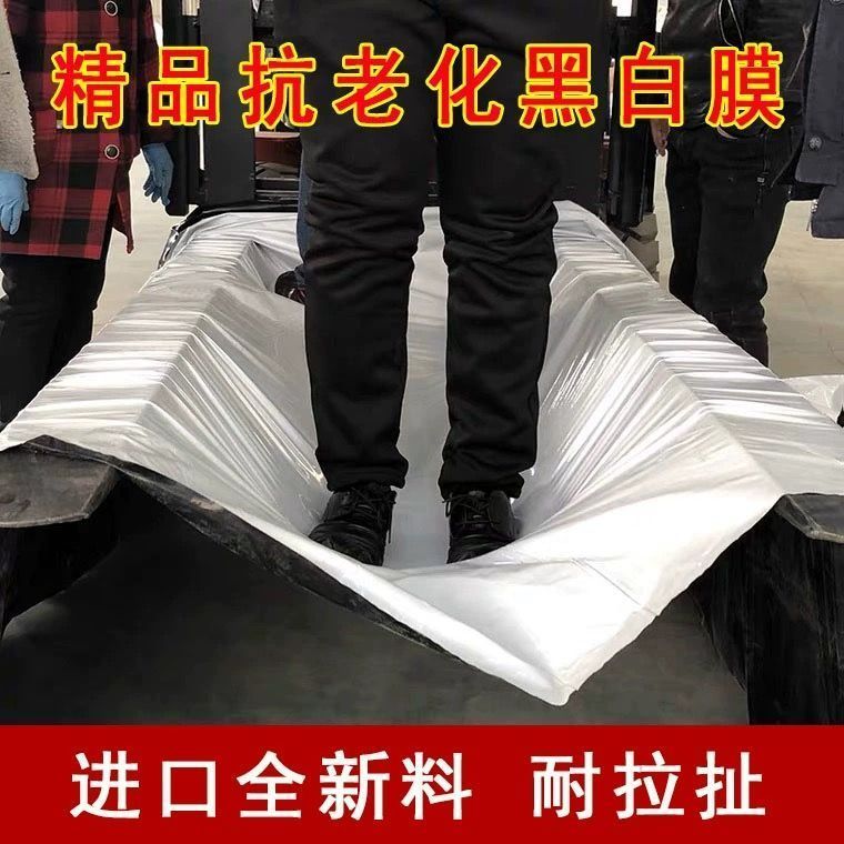 黑白膜养殖防晒加厚进口养殖大棚黑白反光保温膜防晒塑料布食用菌