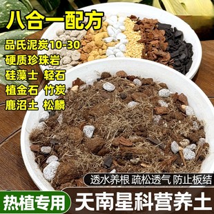 天南星科专用土八合一植物配土热植土龟背竹花烛芋科秋海棠蔓绿绒