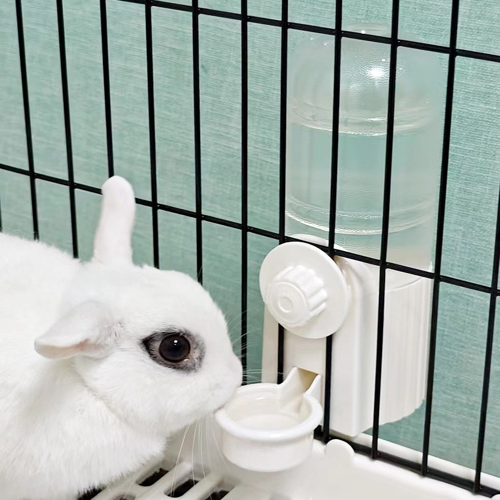LASGE/拉士格兔子水壶饮水器荷兰猪龙猫大容量方便自动续水