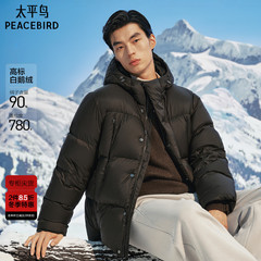 【商场同款】太平鸟男装羽绒服B1ACF4449