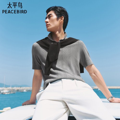 【商场同款】太平鸟男装 2026年夏季新款针织Polo衫男B1EEG2219