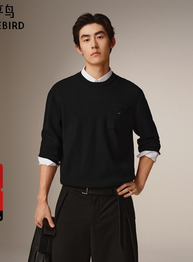 【商场同款】太平鸟男装 2025年冬季新款黑色针织毛衣男B1EBF4239