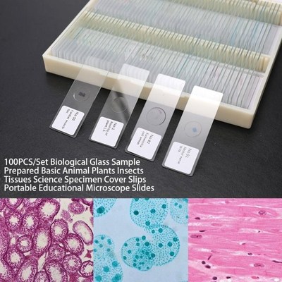 100PCS/Seft Biological Glass Sample Prepared Basic Tissues S