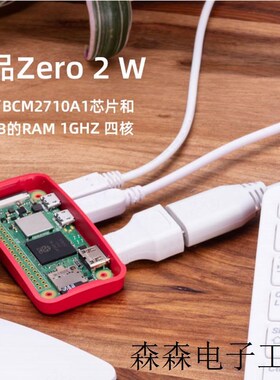 英国原产 树莓派Zero 2 W Raspbeyrry PI Zero PI0 1.3版 zero WH