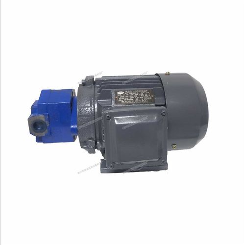 BB-B16NJZ-1/B25NJZ-1摆线齿轮油泵电机FBB-B32N/B20/B40NJZ-1东