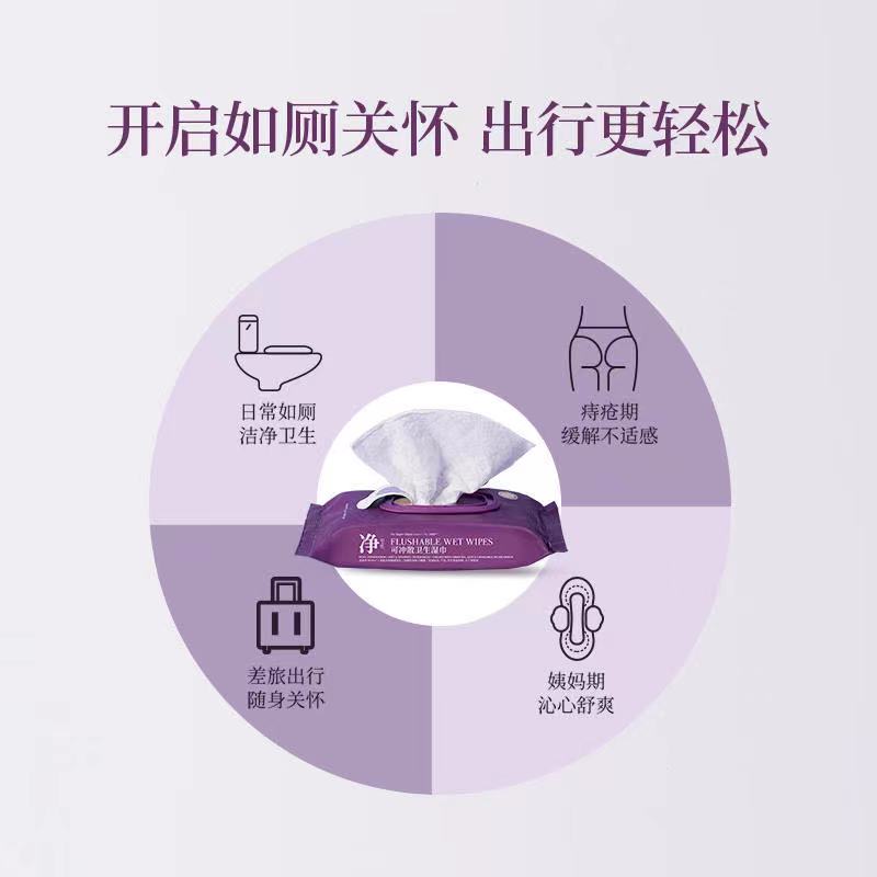 ch22小紫巾湿厕纸成人女性湿纸巾便携装家用痔疮可用擦PP 1提6包