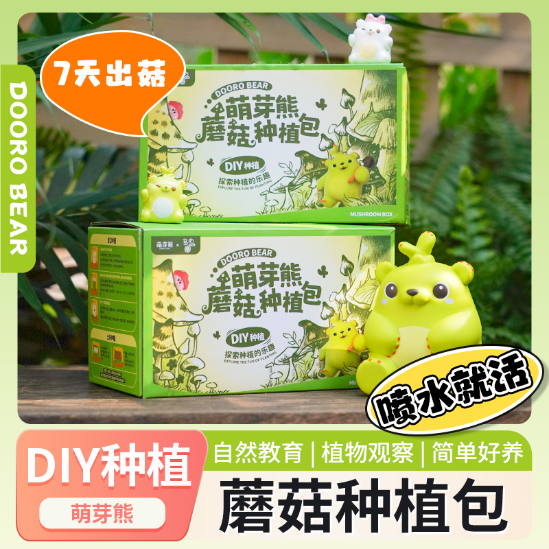 萌芽熊蘑菇种植包家庭自种菌菇包