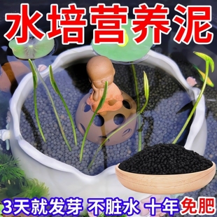 天然荷塘泥养龟养鱼水培植物铜钱草睡莲碗莲专用荷花土营养泥土块