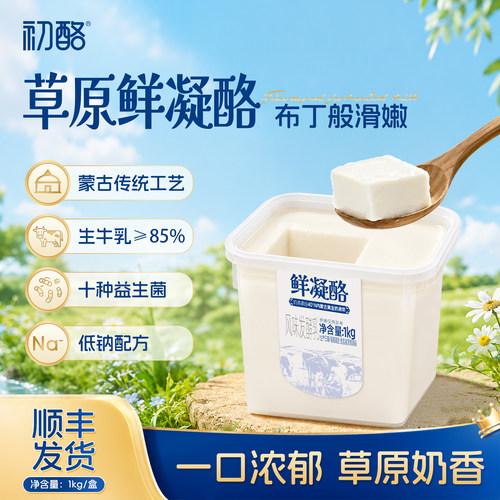 初酪草原鲜凝酪低温酸奶1kg