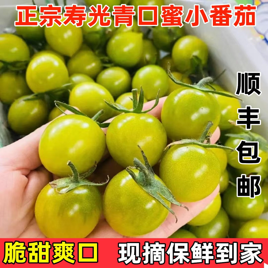 青口蜜圣女果绿色青甜2号小番茄新鲜绿千禧即食小柿子生吃顺丰