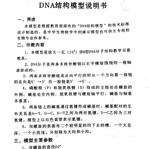 大号DNA双螺旋结构模型带底座可旋转高6G0cm生物遗传基因 实验器