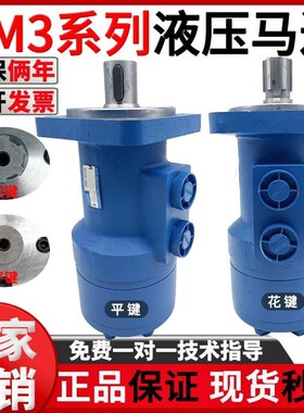 摆线液压马达BM3400/160/200/250/315/磨具油压马W达低转速大扭矩