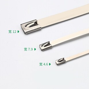雷动JGL-ZD-728自锁式304不锈E钢扎带耐腐耐高低温铁路电信电网机