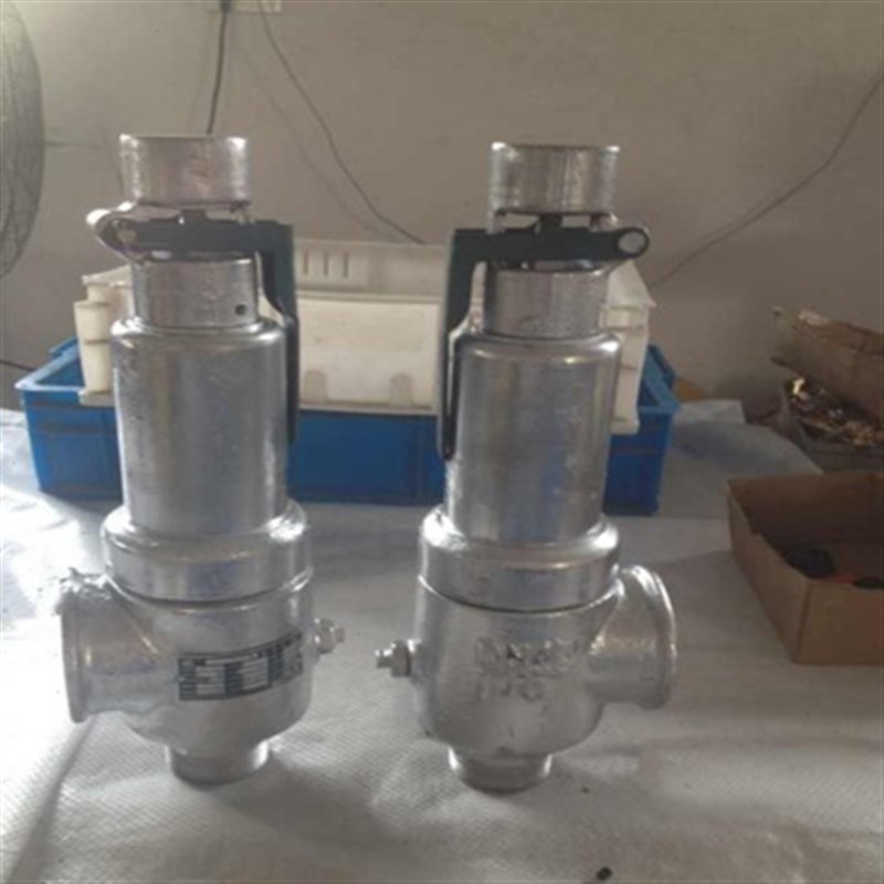 厂促A28He-16P不锈钢安全阀A22F-63T天正 恒华 双泰 华兴 盐新华