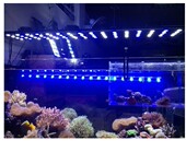 Odyssea奥h德赛120CM海水珊瑚鱼缸灯架 高功率3W4排LED灯 鱼缸灯