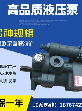 台湾P22-A0-F-R-01P22-A1-F-R-01柱塞泵油泵P22-A2/3X-F-R-01