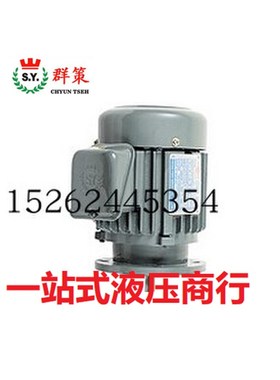 现货SY电机C03-43BO 3HP 2.25KW群策C20-43BO 2S0HP-4P 15KW